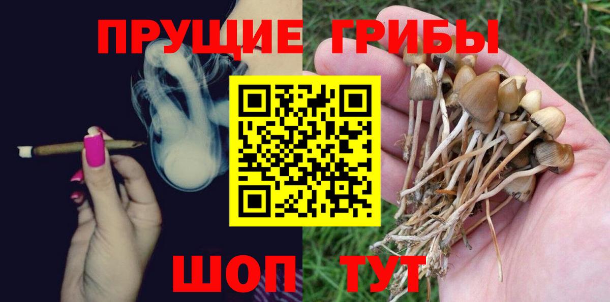 Галлюциногенные грибы мухоморы Краснотурьинск